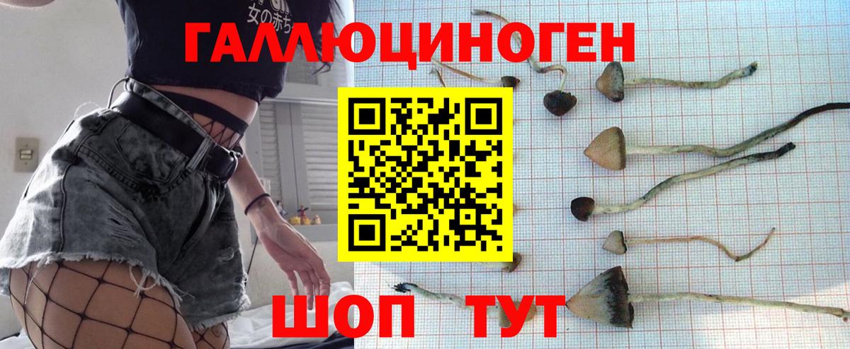 Галлюциногенные грибы GOLDEN TEACHER Дмитров
