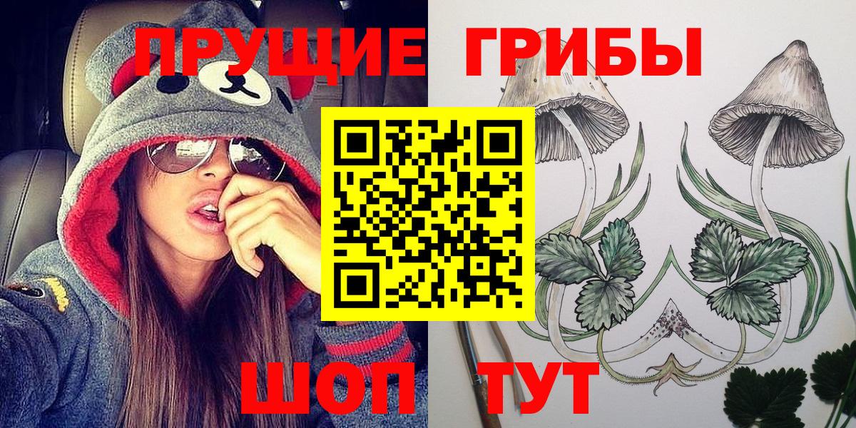 Дмитров  Псилоцибиновые грибы Cubensis  Вход с VPN  как найти закладки  Галлюциногенные грибы MAGIC MUSHROOMS 